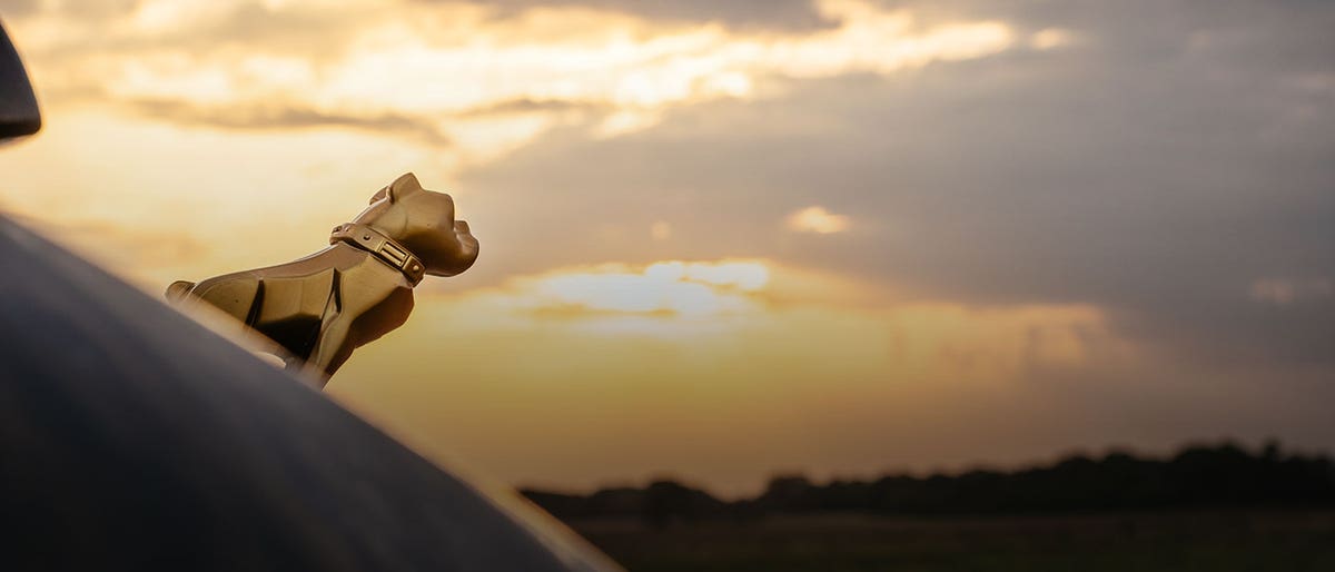 125 years of Mack image